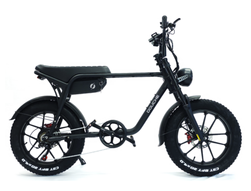 Elcykel DOUCHEBIKE 750W Limpan - räckvidd 60 km - Image 3