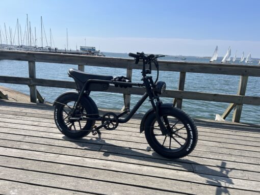 Elcykel DOUCHEBIKE 750W Limpan - räckvidd 60 km - Image 5