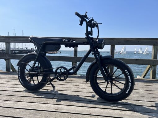 Elcykel DOUCHEBIKE 750W Limpan - räckvidd 60 km - Image 7