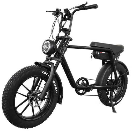 Elcykel DOUCHEBIKE 750W Limpan - räckvidd 60 km - Image 9