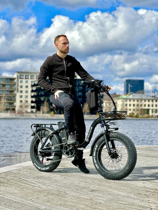 Elcykel DOUCHEBIKE 750W Svan - Image 3