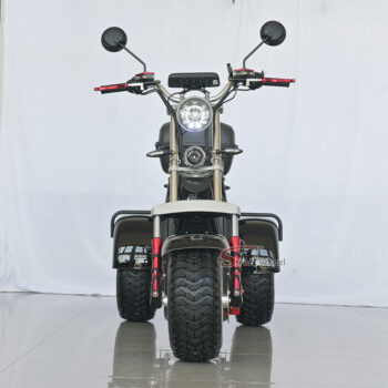 Alternative view of Elmoped M3 TRIKE 4000W - 2-hjuls drift - räckvidd 10 mil