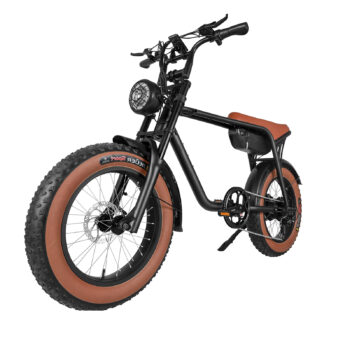 Elcykel DOUCHEBIKE 750W Limpan Brown - 60km räckvidd