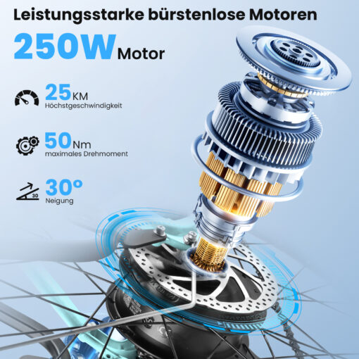 Elcykel DOUCHE Kaisa 250W - Image 27